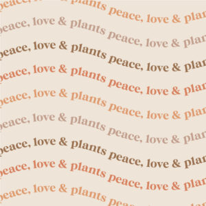 the-sunnyside-plant-company-peace-love-plants